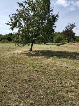 PRONÁJEM ZEMĚDĚLSKÉ STAVBY SKLADU HALY SE ZAHRADOU - 9