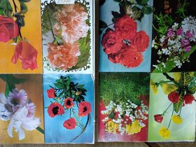 Tenis pohledy trenér Hlinka - 9