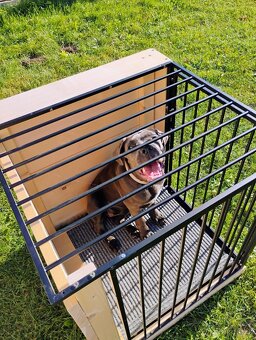 Vnitřní-interiorová odkládací klec pro psa, vyrobená na míru - 9