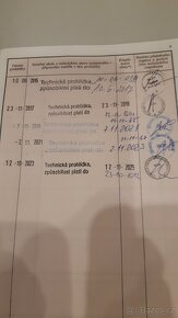 Nissan Maxima 1995 - 9