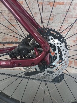 Kolo MERIDA BIG.NINE 200 Glitter Cherry - 9