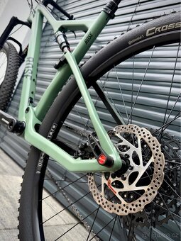 Rose Thrill Hill 1, 2024, vel. L - 9