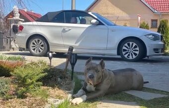BMW 118 cabrio - 9