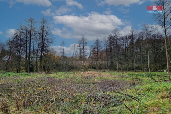 Prodej pozemku k bydlení, 1000 m², Františkovy Lázně - 9