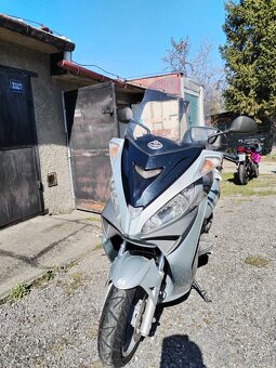 Prodám skútr Malaguti Madison 3 250ccm - 9
