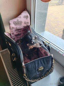 Taška pro pejska - 9