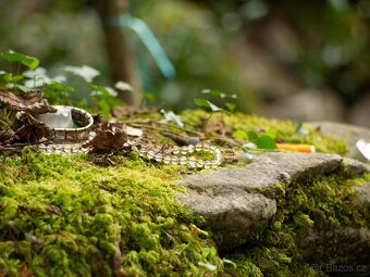 Meyer - Optik 3,5/90 TELEFOGAR - 9