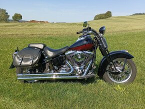 Harley Davidson FLSTS Heritage Springer - 9