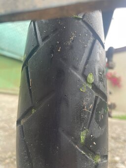 Jawa dandy 50 - 9