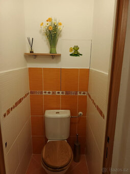 Pronájem bytu 3+1, Dělnická, Neředín, 17500 Kč/měs, 72 m2 - 9