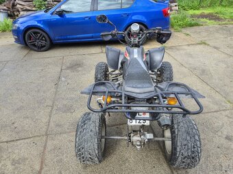 Prodám čtyřkolku 250ccm - 9