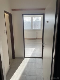 Pronájem 1+1 40m2, Hostomice, po rekonstrukci - 9