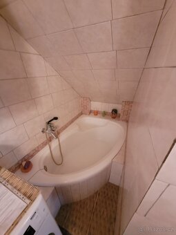 Prodej rodinného domu 400 m², pozemek 1 054 m² Moravany - 9