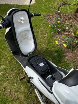 Elektro moped, E- Fichtl Raceaway - 9