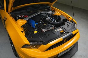 Ford Mustang Boss 302 Laguna Seca - 9