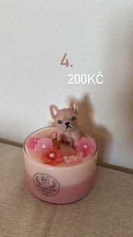 Ručně dělané svíčky – různé motivy - 9