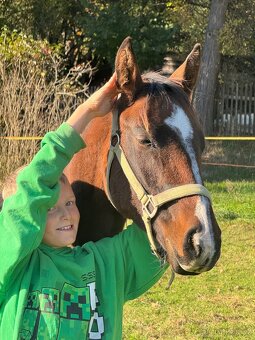 Hřebeček do rodiny - 9