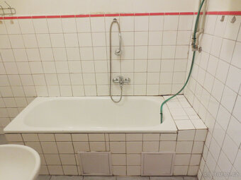 Prostorný byt 2+1 na Klatovské třídě - 9