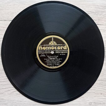 Sada 1 - 5 českých šelakových gramodesek 1930 - 1932 - 9