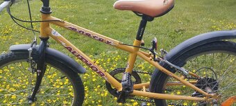 Author Energy 20" - 9