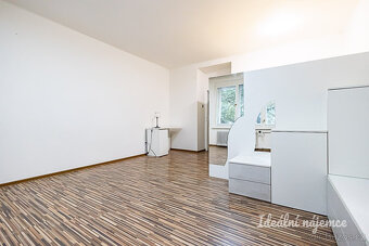 Pronájem bytu 2+kk, Žerotínova, Žižkov, 21900 Kč/měs, 56 m2 - 9