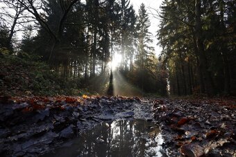 Canon RF 16 mm F2.8 STM - 9