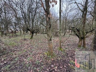 Prodej investičního pozemku Bohosudov - Krupka - 9