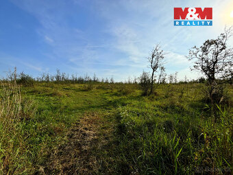 Prodej ovocného sadu, 25918 m², Dolní Nezly u Litoměřic - 9