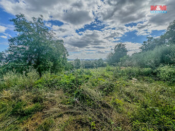 Prodej zahrady, 3500 m², Třebenice - 9