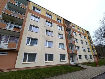 Pronájem bytu 1+1, Mlýnská 24, Ústí nad Labem - Neštěmice - 9
