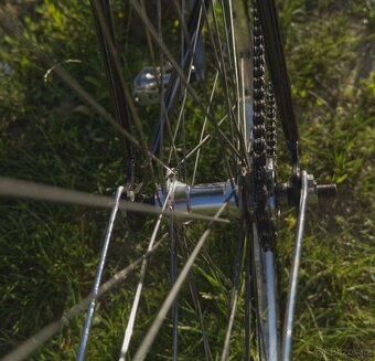 Single speed, Favorit, Městské kolo - 9