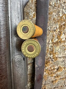 Brokovnice - 9