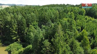 Prodej lesa, 5323 m², Olší u Opařany - 9