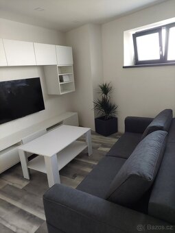 Pronájem kompletně zařízeného bytu 2+kk, 51 m² – Sedlec - 9