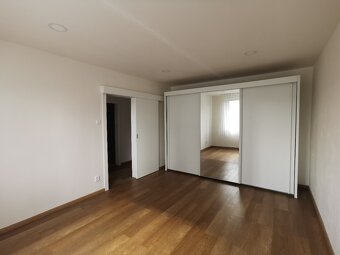 Centrum - Karlovina 1+1 po rekonstrukci, částečně zařízené - 9