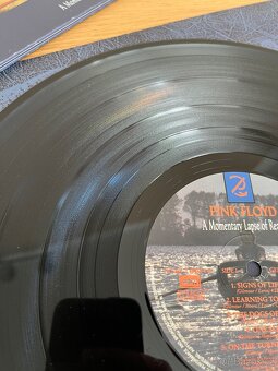 Pink Floyd – A Momentary Lapse Of Reason - 9