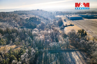 Prodej lesa, 685 m², Horšovský Týn - 9