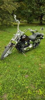 HARLEY DAVIDSON FXSTSI SPRINGER - 9