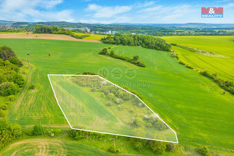 Prodej louky, 6006 m², Lešetice - 9
