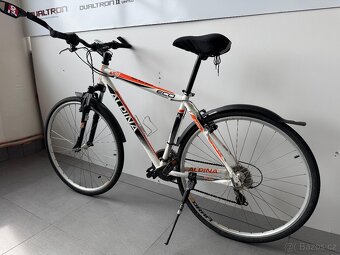 Alpina Eco C10 - 9