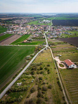 Vinný sklep+pozemek 864 m2, Znojemsko - 9