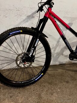 Qayron spyro CrMo 1 - 9