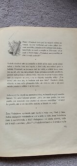 Alšovy pohádky - 9