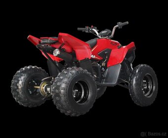 LINHAI ATV 110 2X4 EFI CE - 9