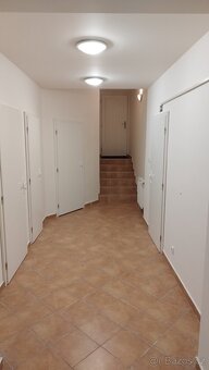 Nabízím malířské práce - malování bytů. - 9