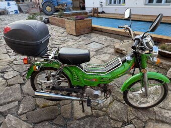 Moped - Champ 50Y - Babeta - 9