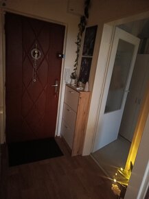 Výměna bytu 1+1 Kohoutovice - 9