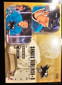 Mix hokejových kartiček - 9