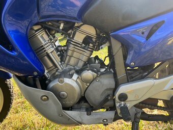 Honda Transalp 650 35kW A2 - 9