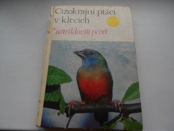 rybáři, zvířectvo, ptactvo, koně - 9